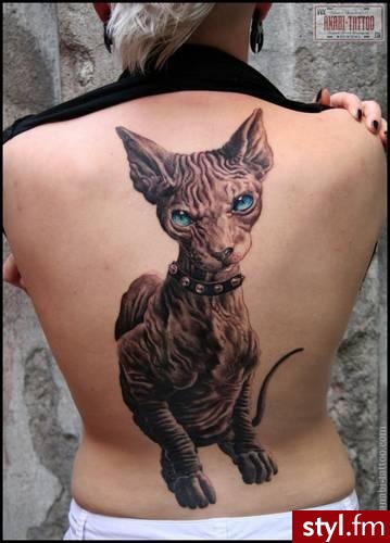 sfinksy. Kocham <3 - Tatuaże