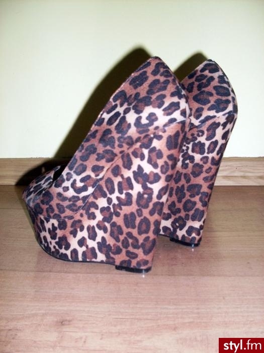 Koturny Buty Moda