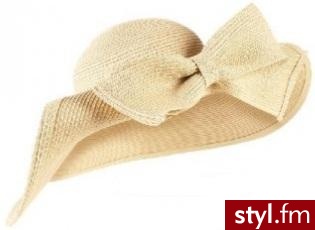 Zdjęcie dodane do bazy zdjęć Stylera - Styler