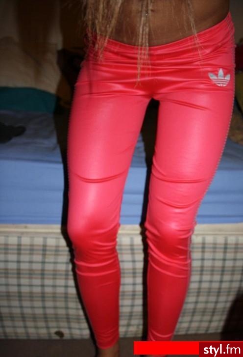 Dresowe Spodnie Moda