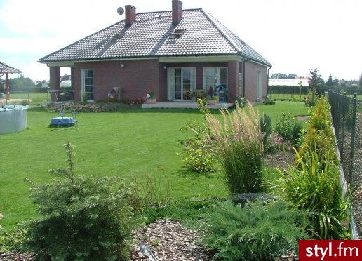 Ogród