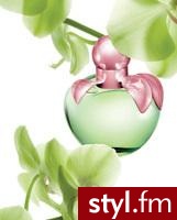 Nowy zapach – Love by Nina
Skosztuj jabłka miłości z ogrodu Niny!
Pojemność: 50 ml
Cena: 194 zł - Misz-masz