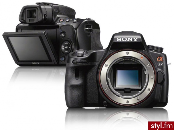 Sony SLT-A37 Body - Body Bielizna Moda