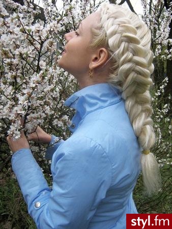 Blond Warkocze Proste Na co dzień Długie Fryzury