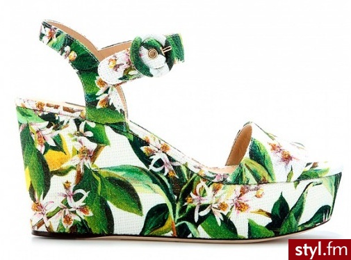 Koturny Buty Moda
