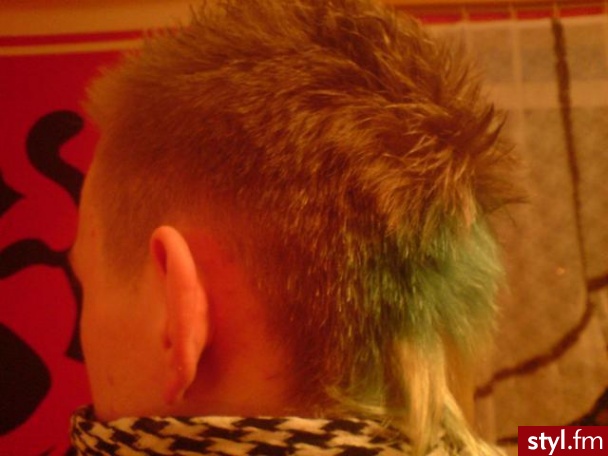 Punk Rock Alternatywne Średnie Fryzury