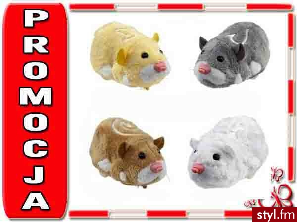 Zhu Zhu Pets Chomik Interaktywny - Dziecko
