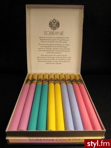 sobranie, biatches ! - Misz-masz