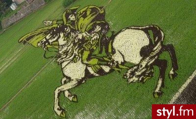 dzieło na polu ryżowym w kraju kwitnącej wiśni - Misz-masz