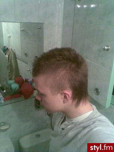 Punk Rock Alternatywne Średnie Fryzury