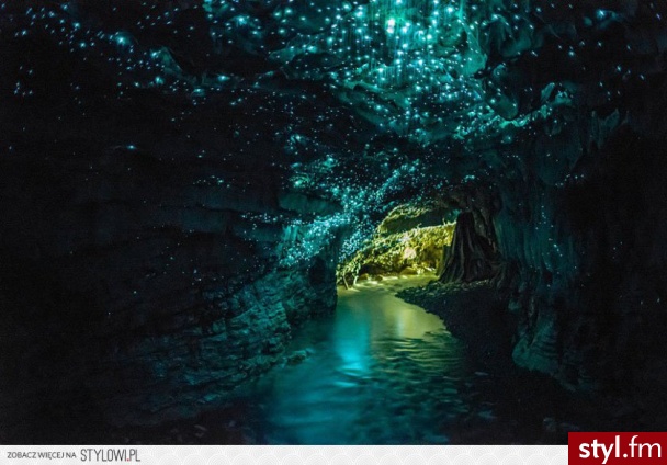 jaskinie Waitomo Glowworm, Nowa Zelandia - Podróże i miejsca