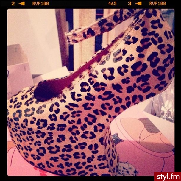 Koturny Buty Moda