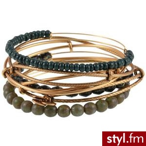 Alex and Ani Bauhaus Limited Edition Bangle Set - Polyvore. Pobrano ze strony: http://www.polyvore.com/alex_ani_bauhaus_limited_edition/thing?id=19867747 - Pozostałe Dodatki Moda