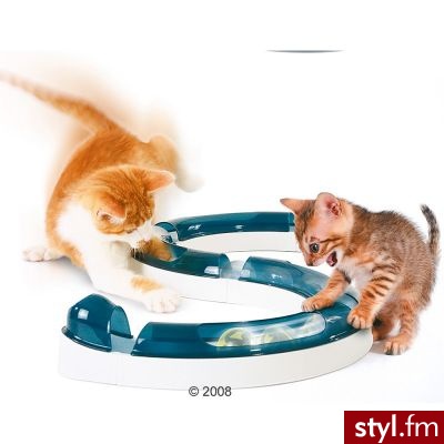 Catit Design Senses Tor do zabawy - 1 sztuka - Dziecko