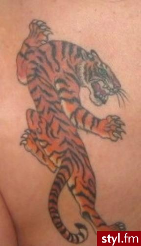 Tiger - Tatuaże