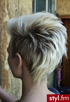 Blond Rozpuszczone Proste Na co dzień Krótkie Fryzury