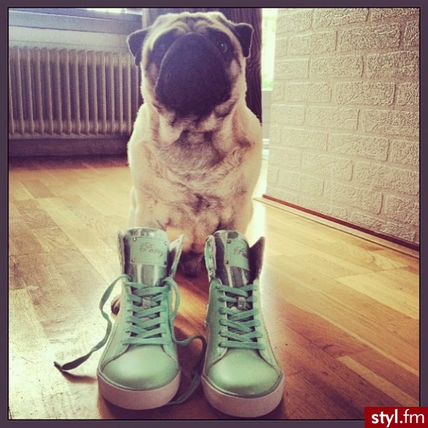 Sportowe Buty Moda