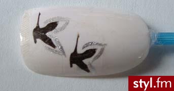 Autor: jarek Prace Candii. Autor: <b>jarek</b><br /> - Paznokcie