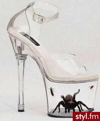 Pozostałe Buty Moda