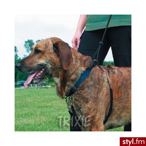 Trixie Szelki dla psa Easy Walk L - Psy Zwierzaki