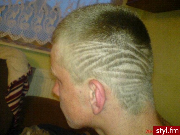 Punk Rock Alternatywne Średnie Fryzury