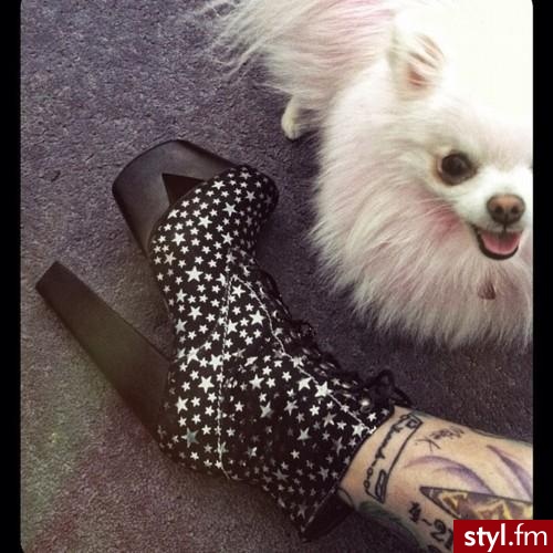Koturny Buty Moda