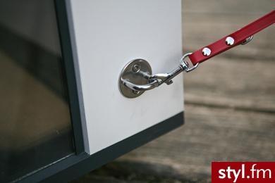 Rezydencja dla psa. Rezydencja dla psa. Cena (zależy od powierzchni): do 1 900 euro do 2 050 euro, czyli od ok. 7 600 zł do 8 200 zł.
Do kupienia w wysyłającym do Polski, internetowym sklepie Best Friend’s Home. - Misz-masz