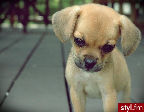 he\'s so cute <3333 - Misz-masz