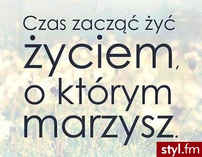Misz-masz