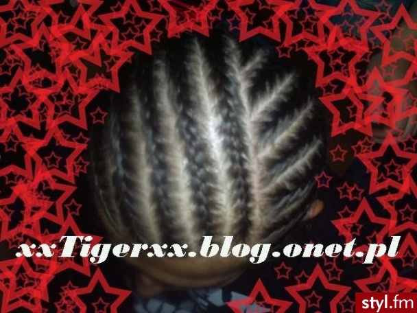 Conrows. Witam fryzury które prezentuje sa wykonane przeze mnie :) wiecej informacji lub moich prac mozecie sprawdzić na www.xxtigerxx.blog.onet.pl - Dredy Alternatywne Średnie Fryzury