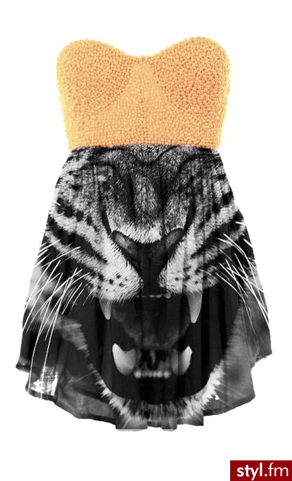 Sukienki Moda
