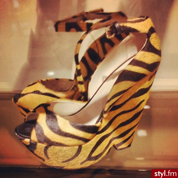 Koturny Buty Moda