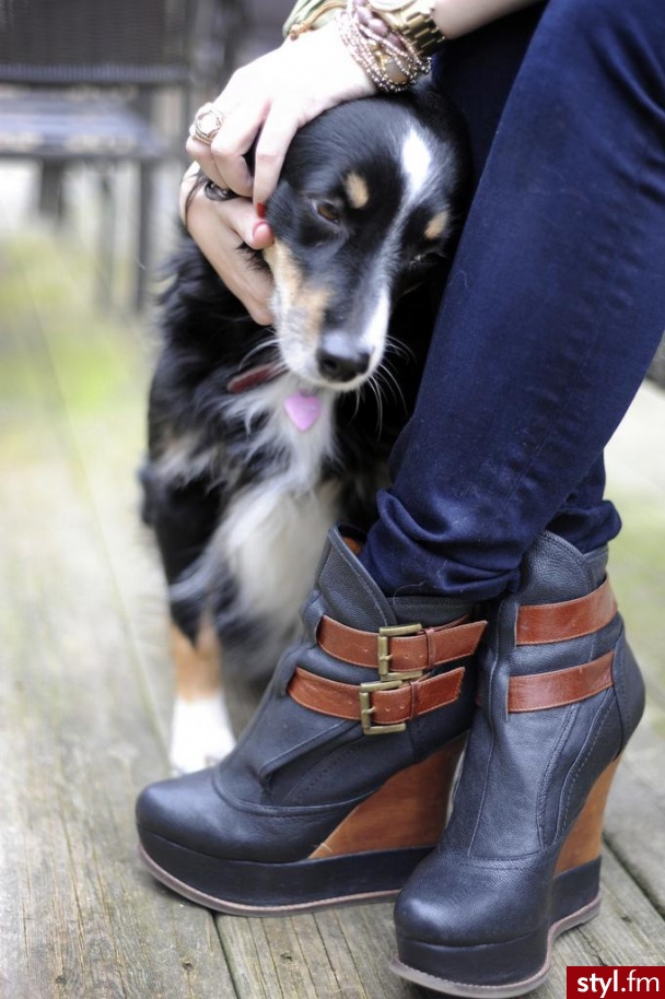 Koturny Buty Moda