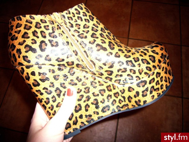 Koturny Buty Moda