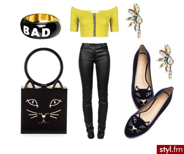 Kociak - Styler