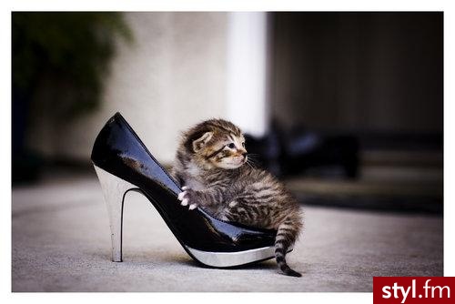 Pozostałe Buty Moda