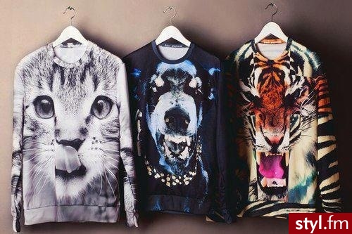 Bluzki Ciuchy Moda