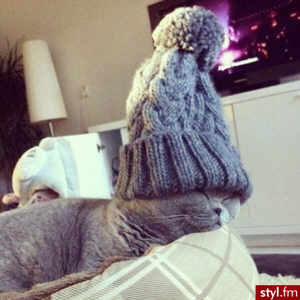 Nakrycia głowy Dodatki Moda