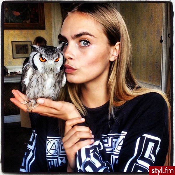 Inne Zwierzaki
