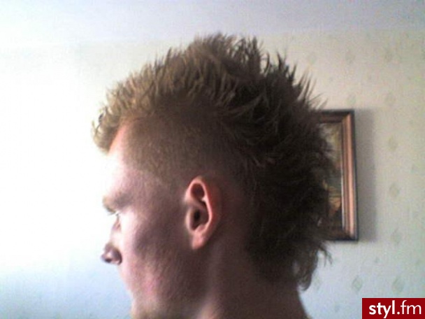 troche gumy i ładnie jest xD - Punk Rock Alternatywne Średnie Fryzury