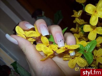 Paznokcie