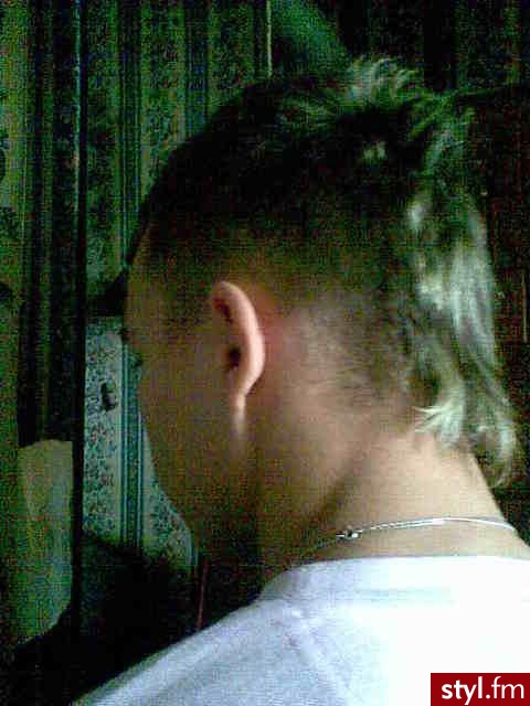 Punk Rock Alternatywne Średnie Fryzury