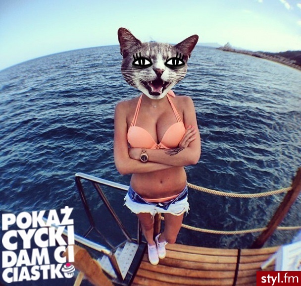 Misz-masz