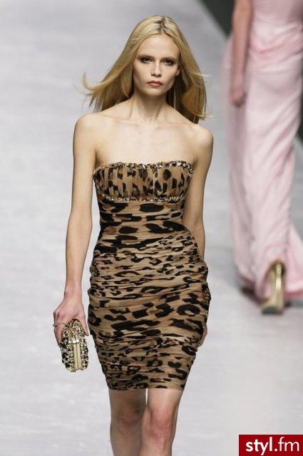 Projekt: Blulmarine - Pozostałe Ciuchy Moda