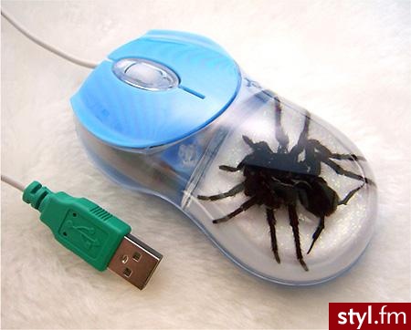 Gadżety Inne Moda