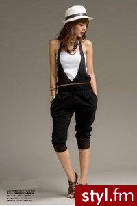 Styler