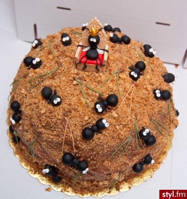 tort - Misz-masz