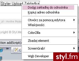 Styler - Galerie mody. Pobrano ze strony: http://ikf.styl.fm/stylerfm/opis - Pozostałe Ciuchy Moda