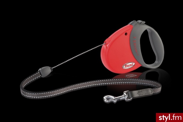 Flexi Comfort Small Szara - Psy Zwierzaki
