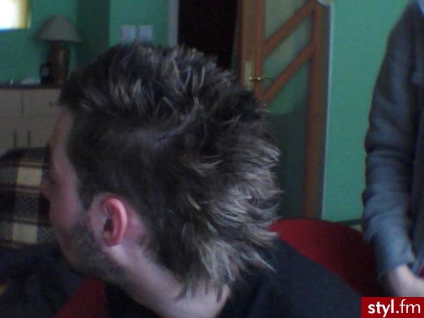 Punk Rock Alternatywne Średnie Fryzury